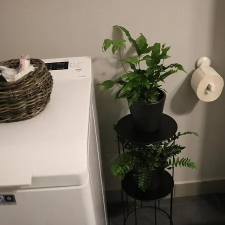 Apartment Bran's